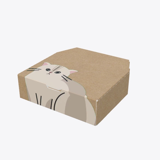 Update Bevel Pizza Box