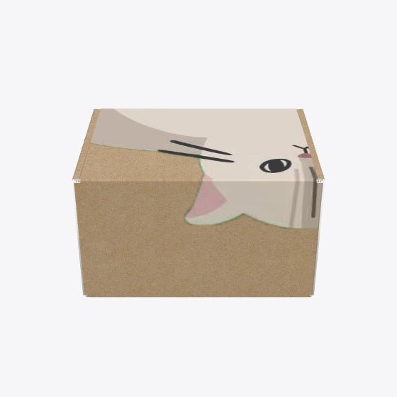 Custom Mailer Box