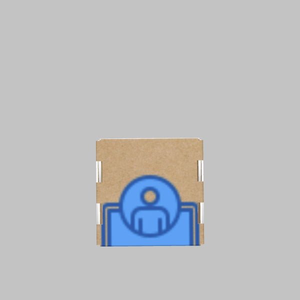 Custom Mailer Box