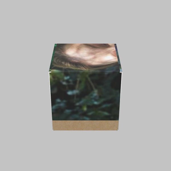 A Custom Mailer Box by 105 Packaging is shown on a gray background, featuring parts of an image with greenery and a person's head.