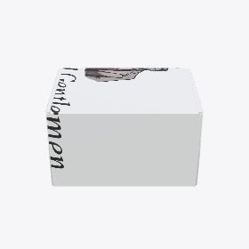 Custom Mailer Box