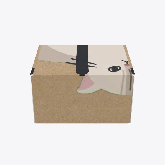 Custom Mailer Box