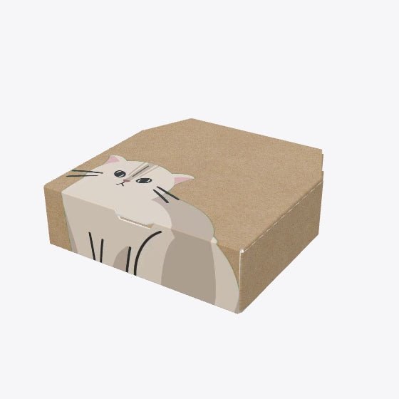 Update Bevel Pizza Box